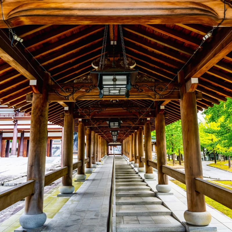 The towering Echizen Daibutsu seated inside the grand Great Buddha Hall of Daishizan Seidaiji Temple, surrounded by thousands of smaller Buddha statues and intricate Buddhist architecture in Katsuyama, Fukui Prefecture, Japan.