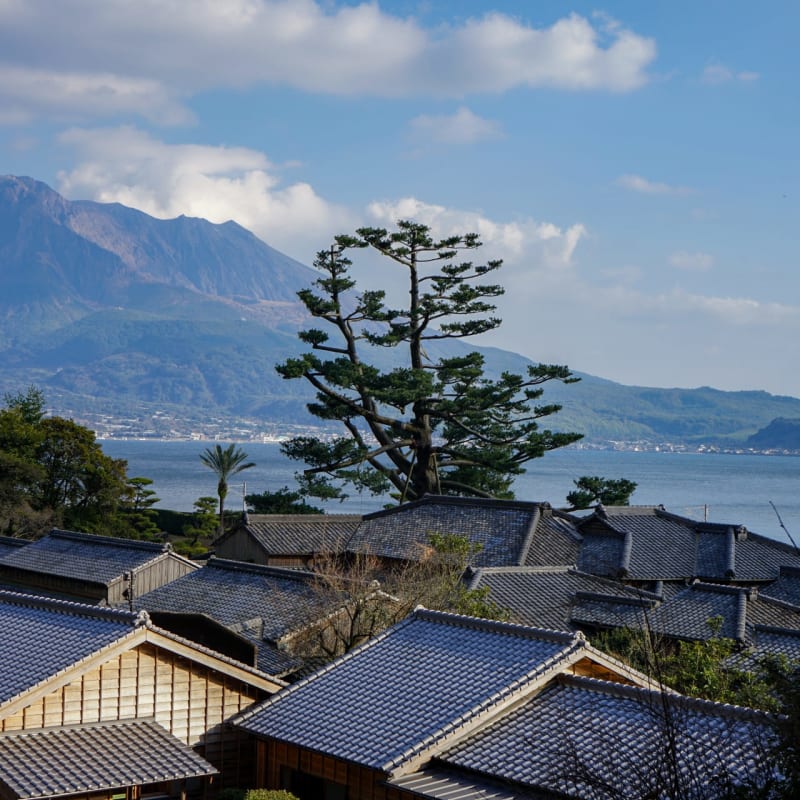 Traditional Japanese garden with Sakurajima volcano visible across Kinko Bay in Kagoshima.