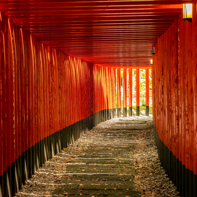 Transparent crystal torii gates and traditional red torii at a Japanese Inari shrine