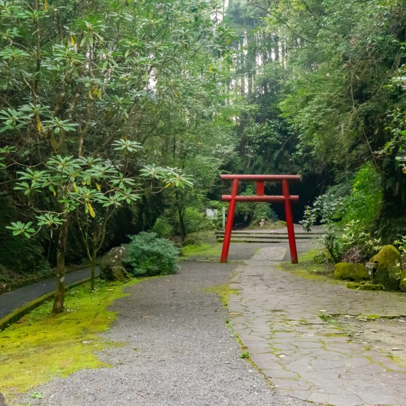 Entrance of Mizonokuchi Cave featuring a red torii gate surrounded by lush forest in Kagoshima, Japan