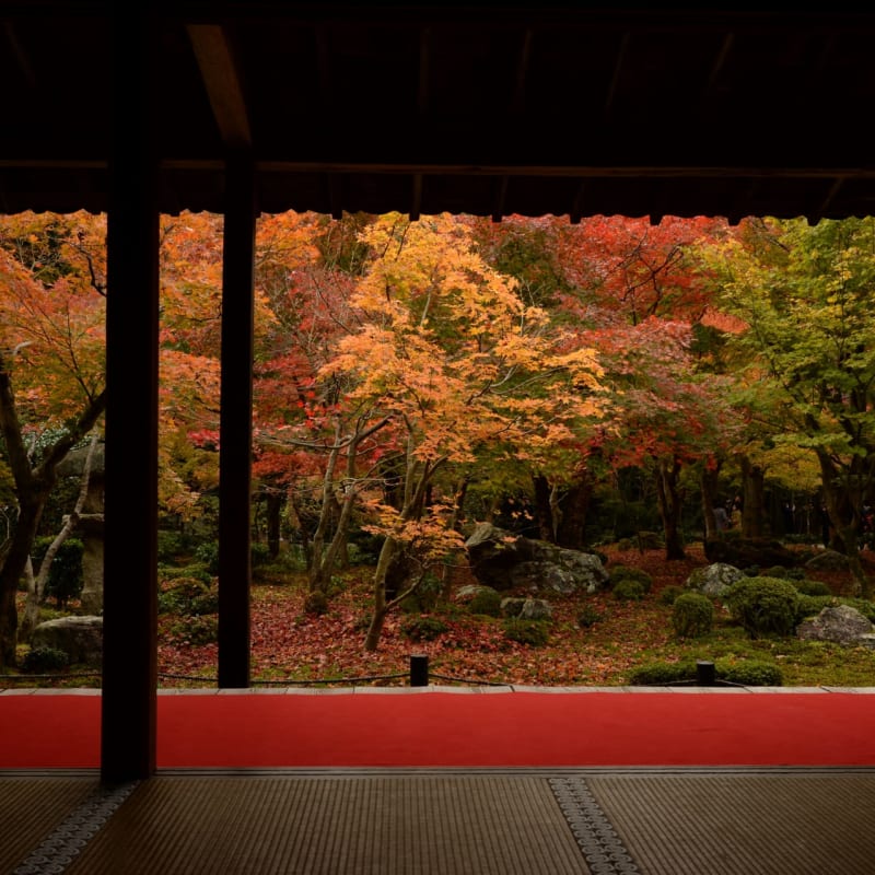 Zen garden and traditional temple buildings at Enkoji Temple in Kyoto