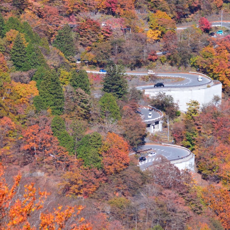 Scenic mountain road winding through the forests of Nikko with panoramic valley views.