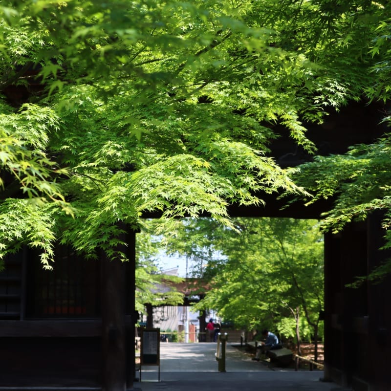 Kuhonbutsu Joshin-ji Temple in Setagaya, Tokyo