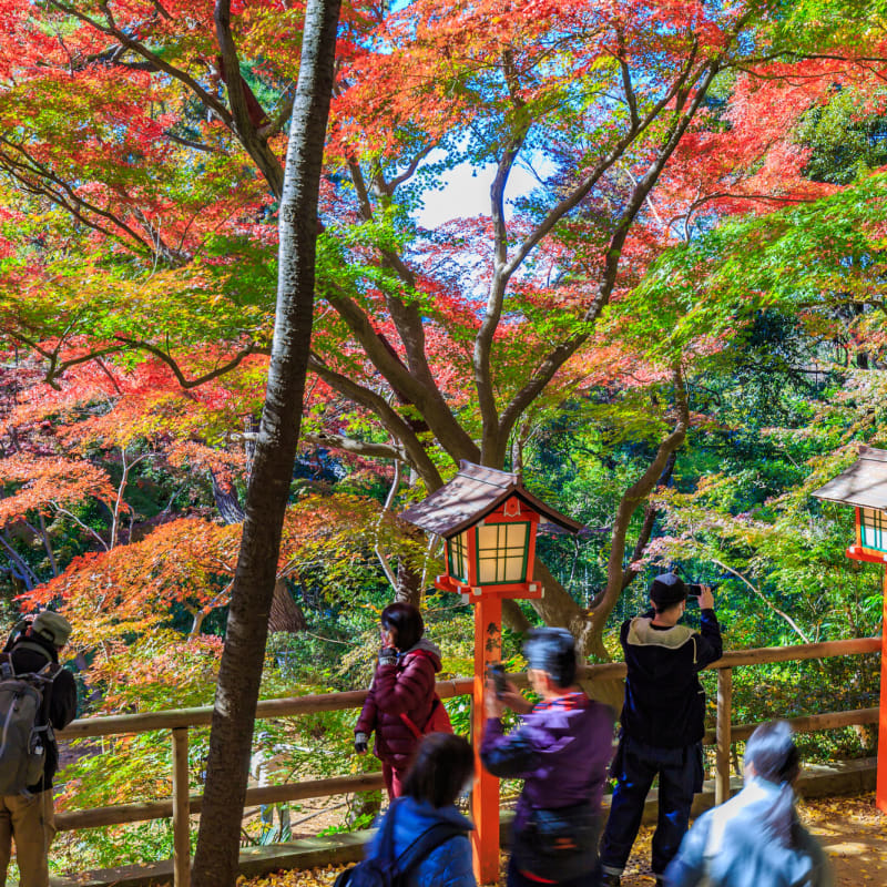 Todoroki Ravine Valley Tokyo - Hidden oasis in Tokyo in autumn