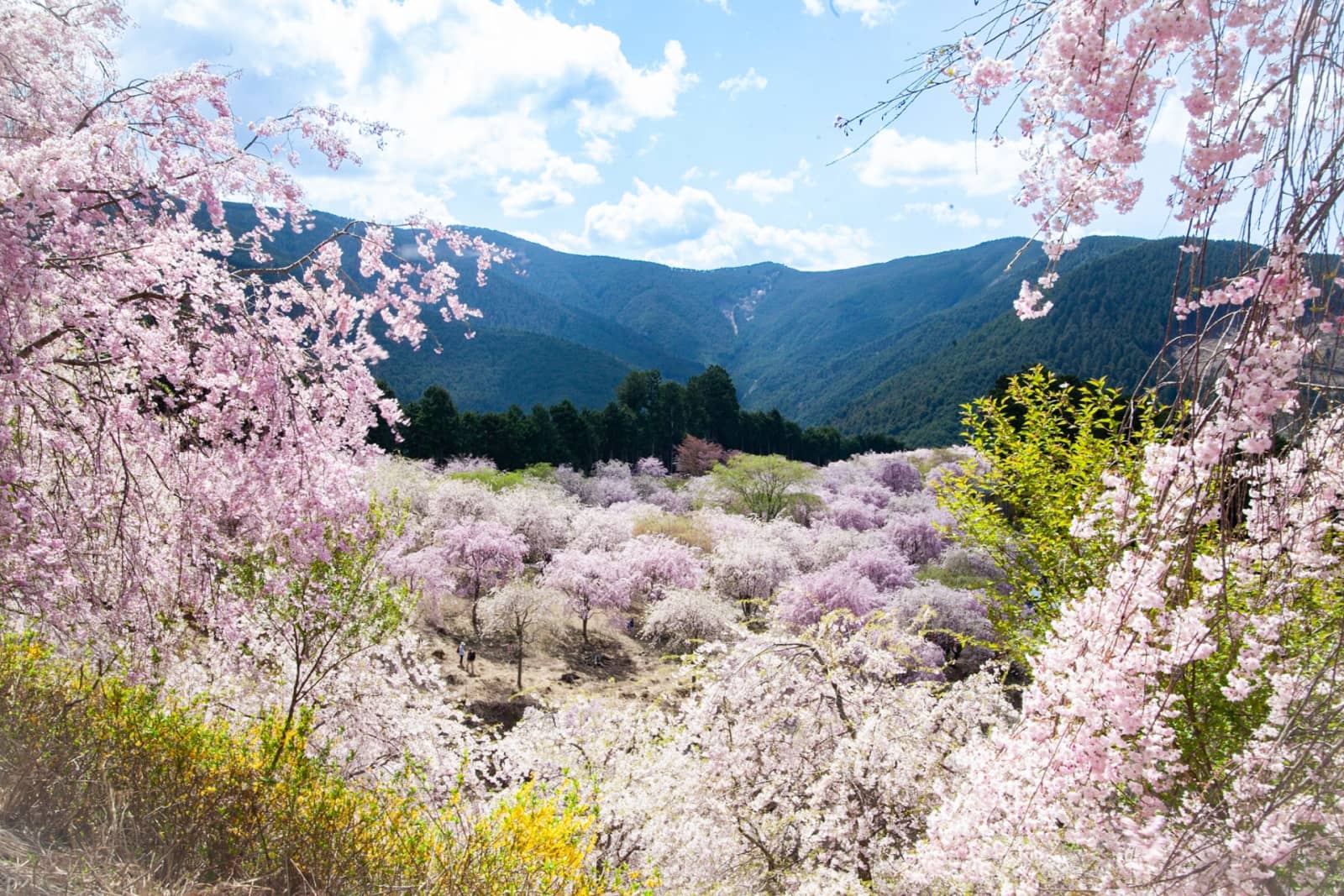 Takami no Sato