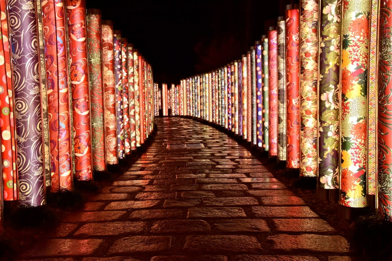 Kimono Forest