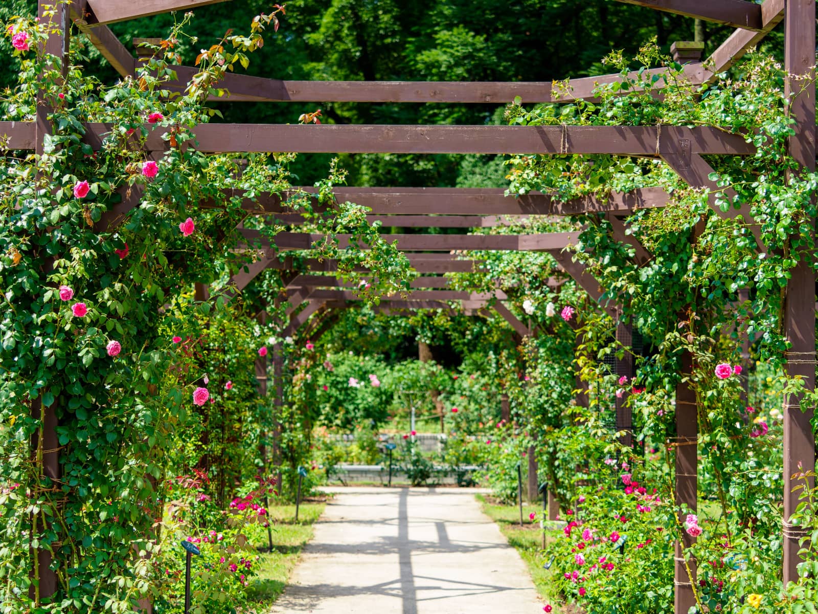 Nagai Botanical Garden