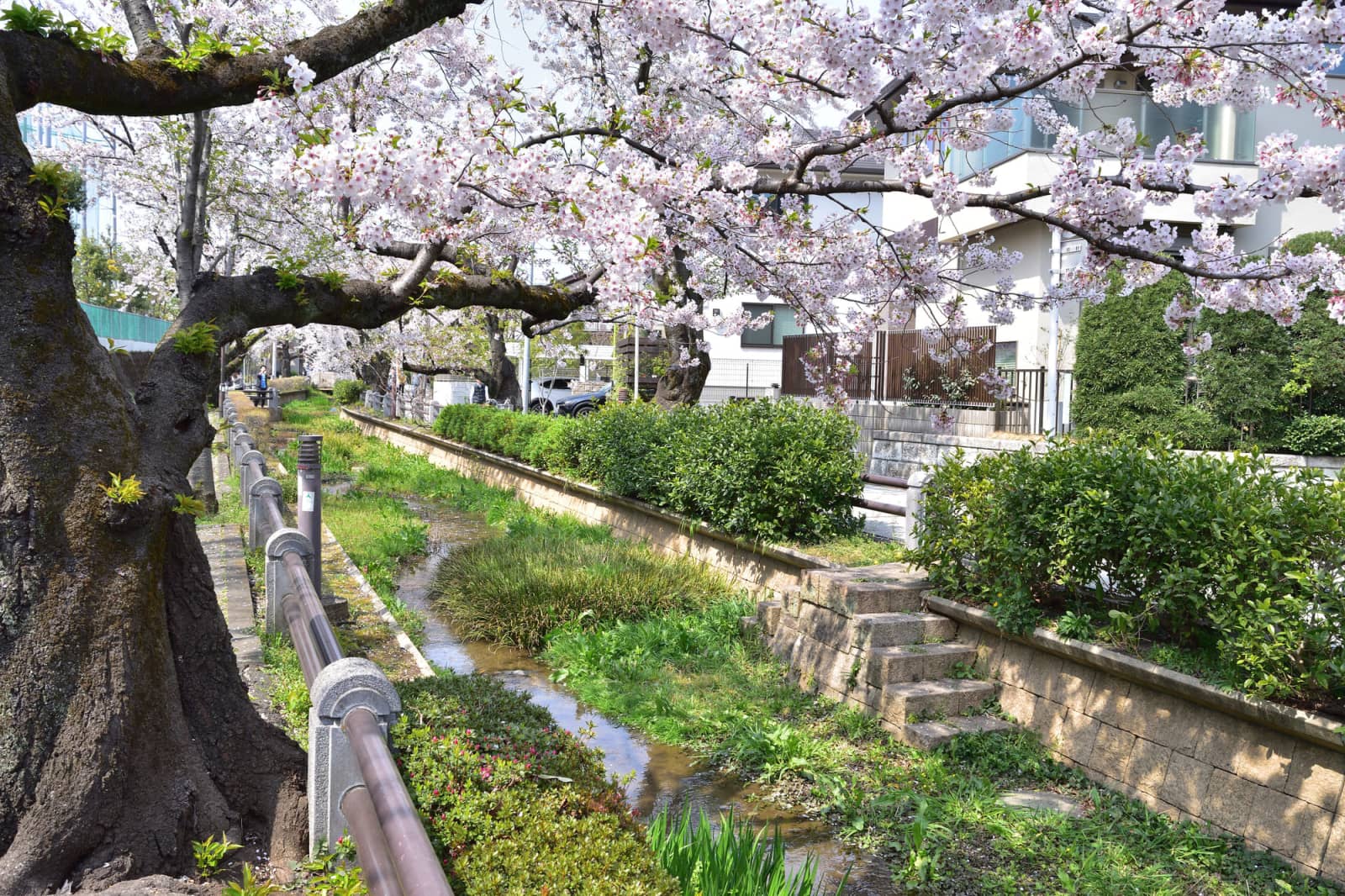 Nomikawa Water Park