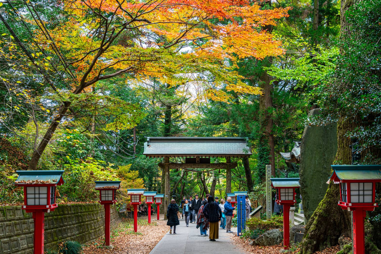 Mount Takao