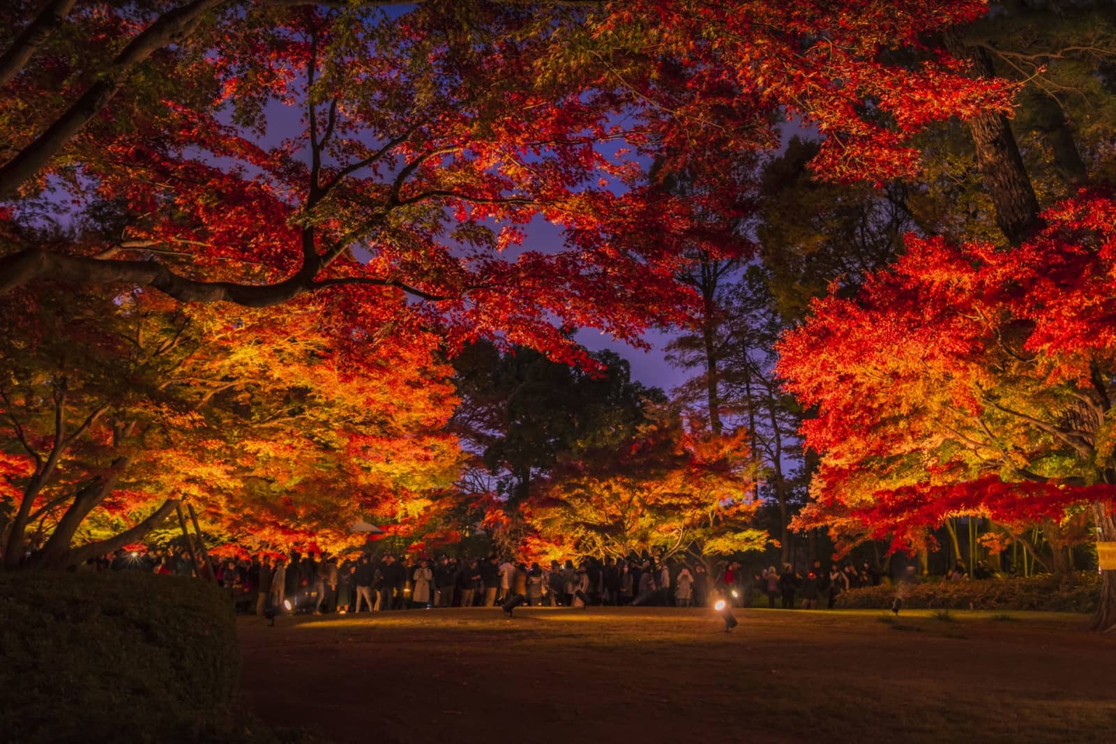 Otaguro Park