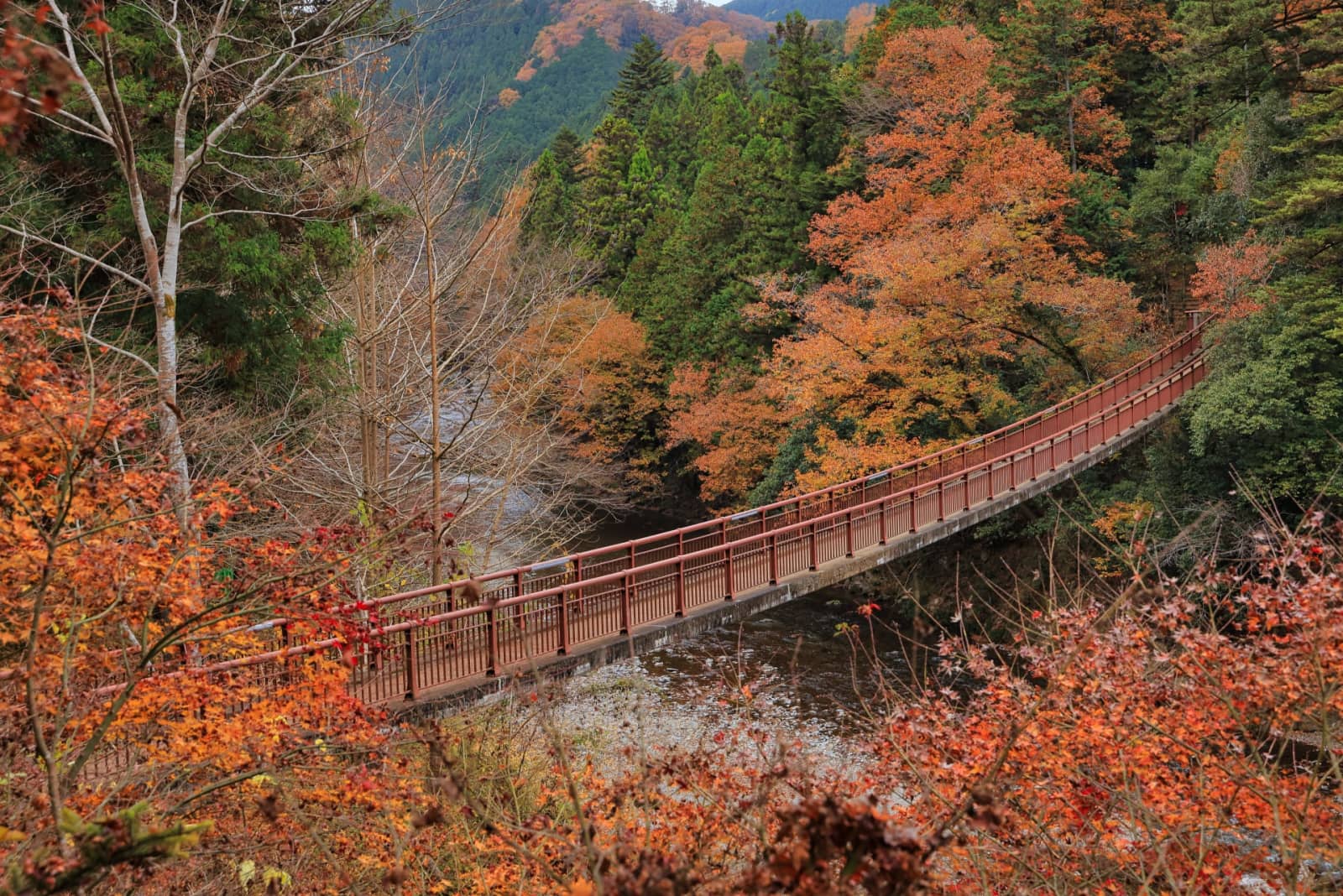 Akigawa Valley