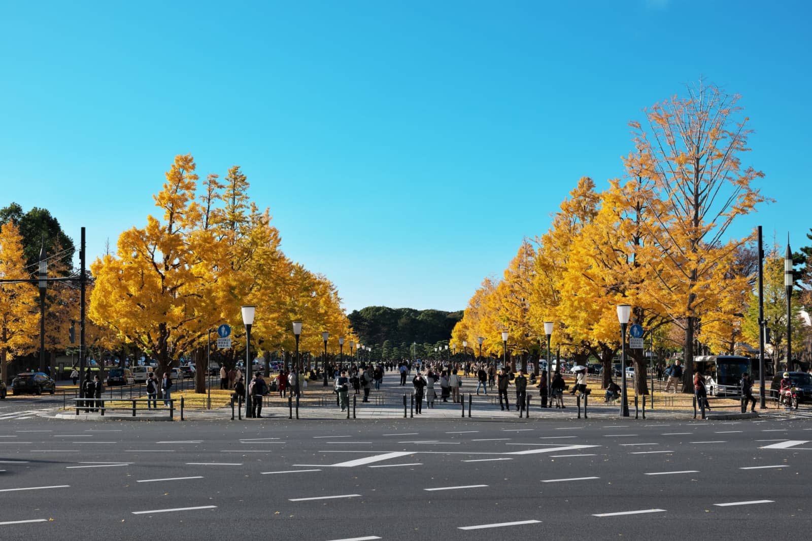 Gyoko-dori Avenue