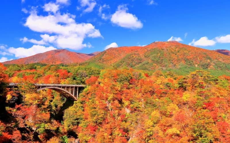 Autumn leaves covering the steep cliffs of Naruko Gorge in Miyagi Prefecture.