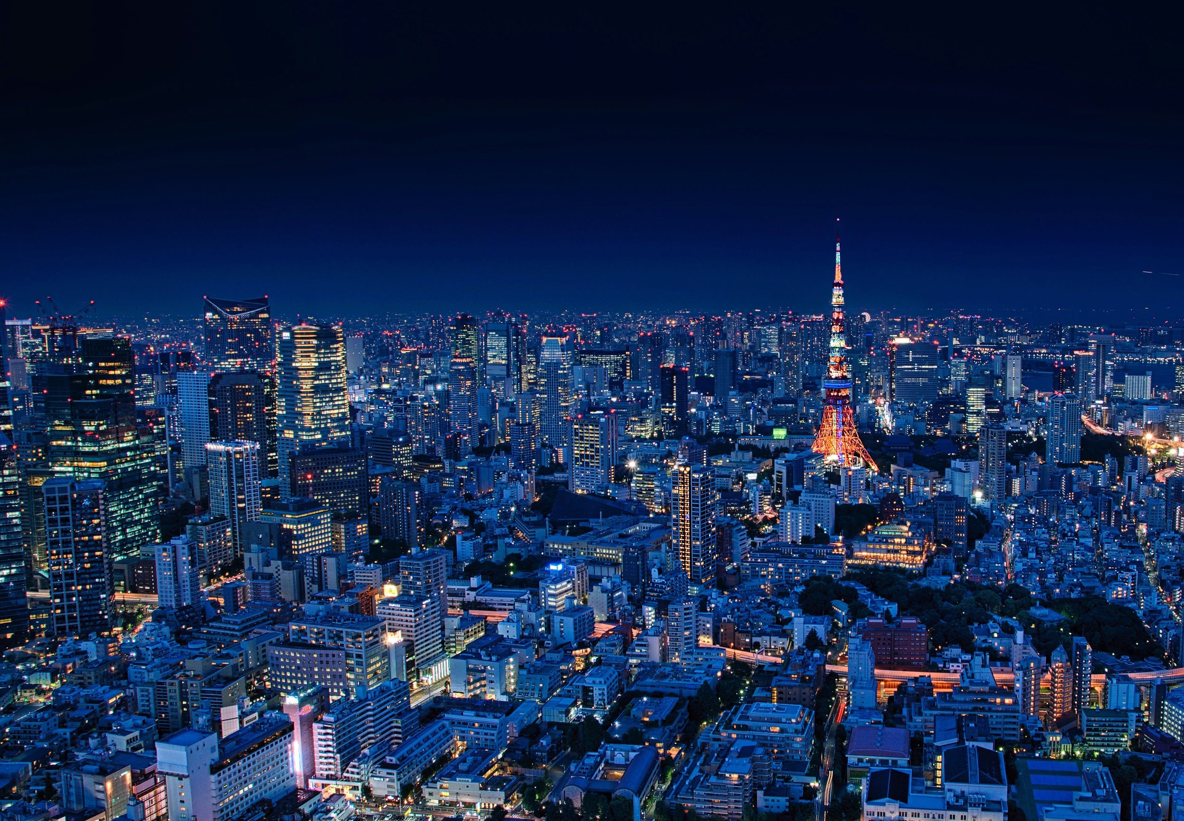tokyo cityscape view at night of tokyo tower