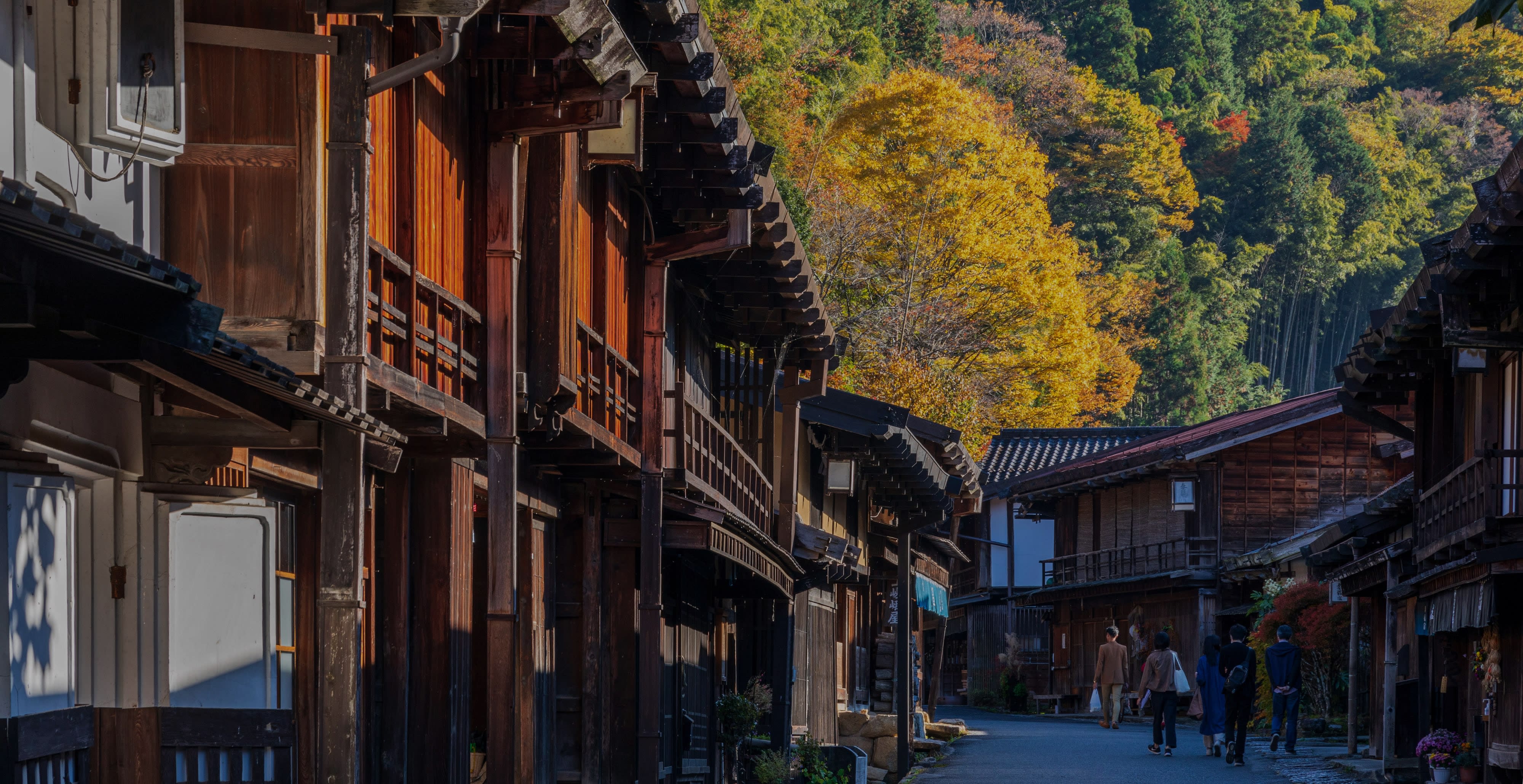 Professional photographer capturing Japan moments