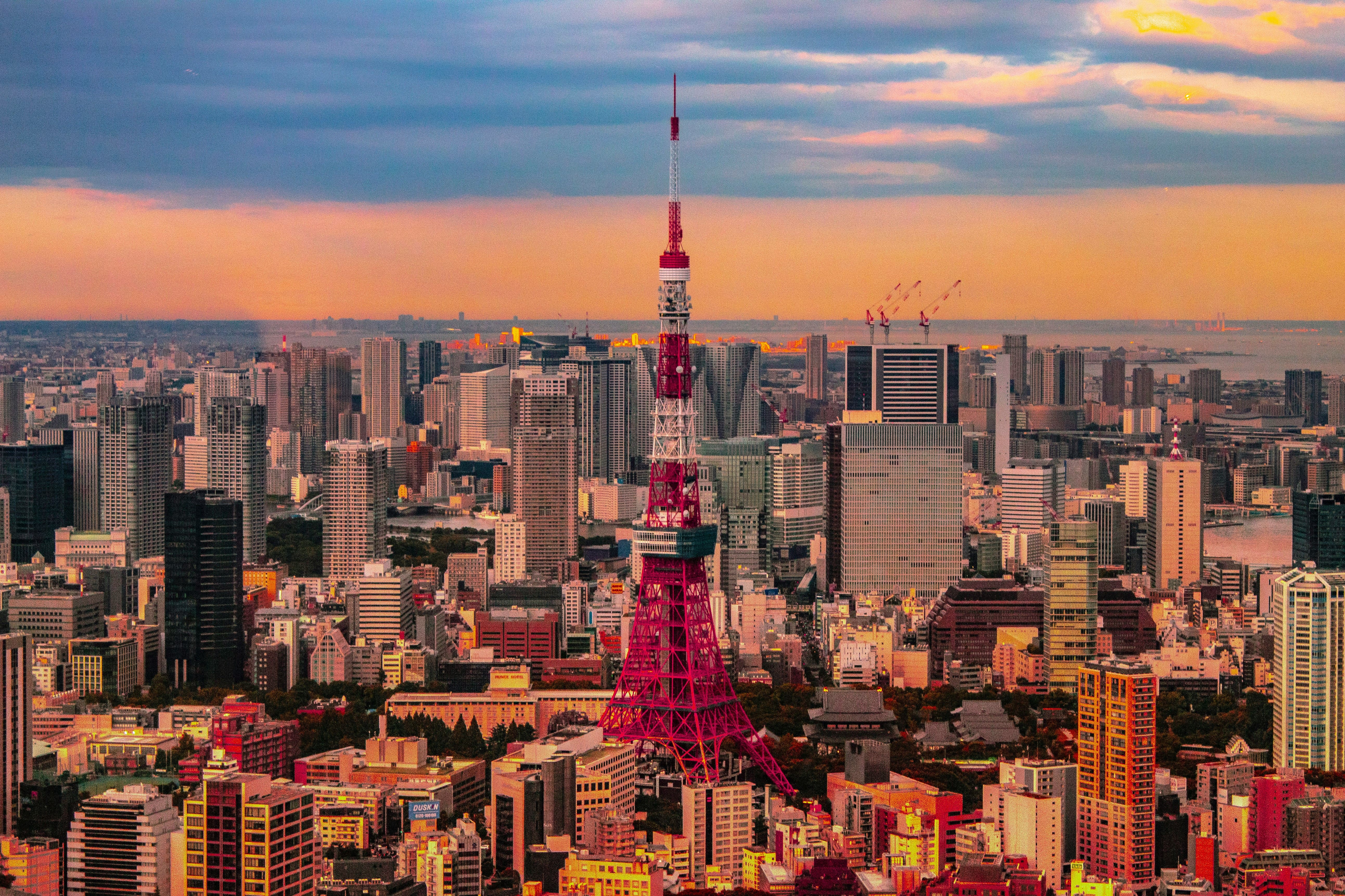 tokyo cityscape view at night of tokyo tower