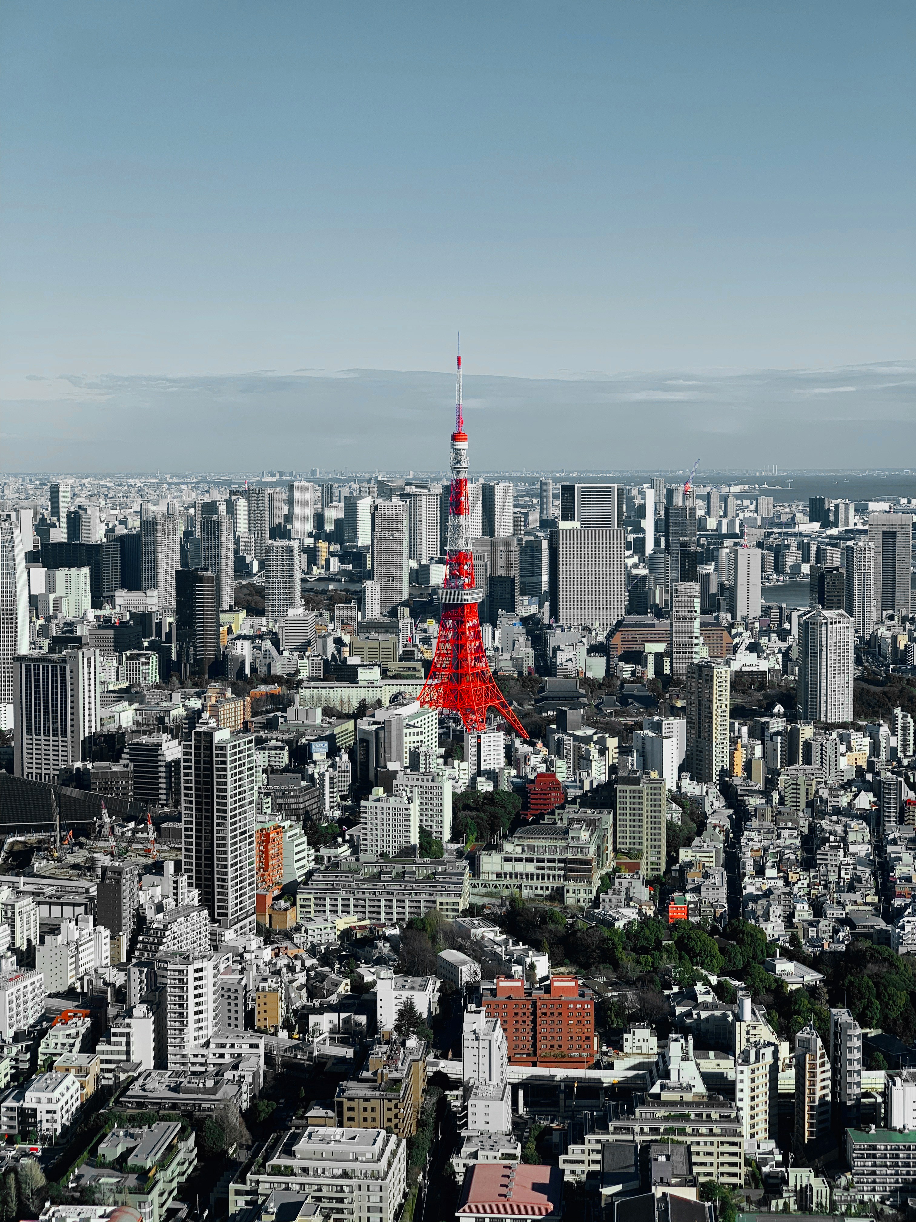 LensTokyo photography experience