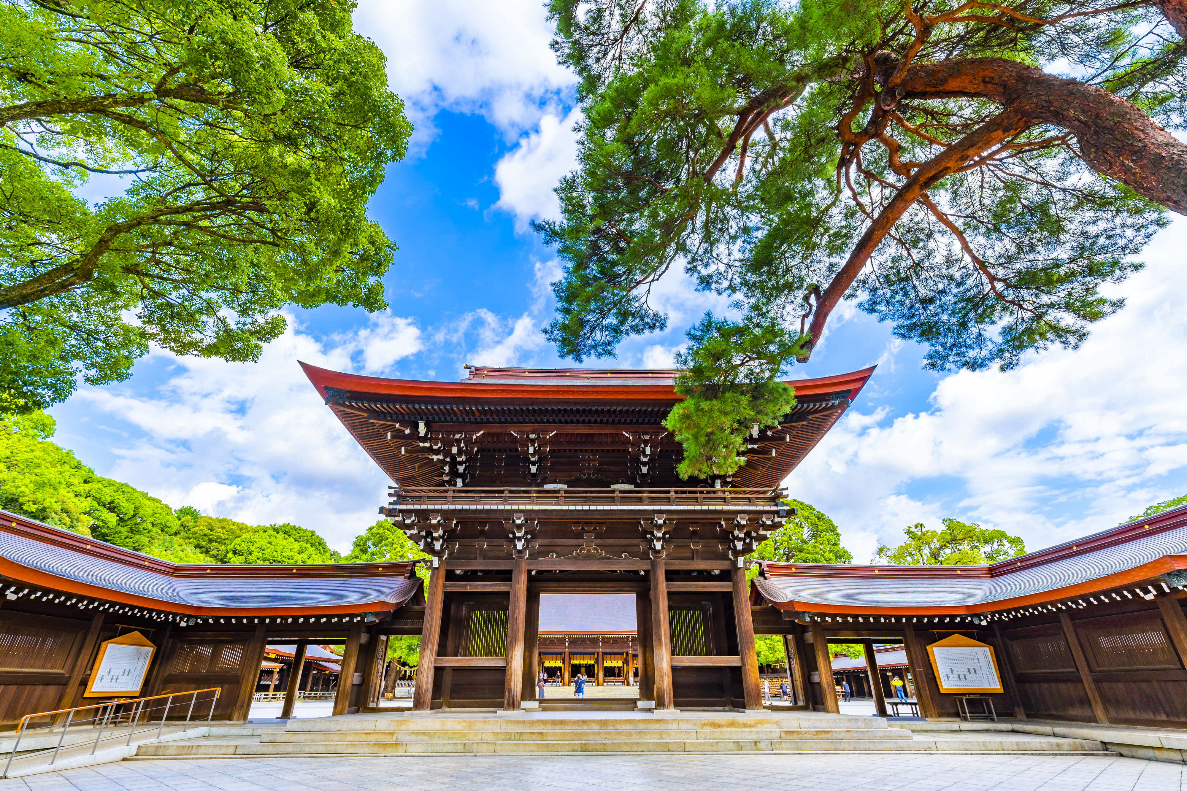 Meiji Jingu – Things to Know: Best Times, Access & Prices | LensTokyo