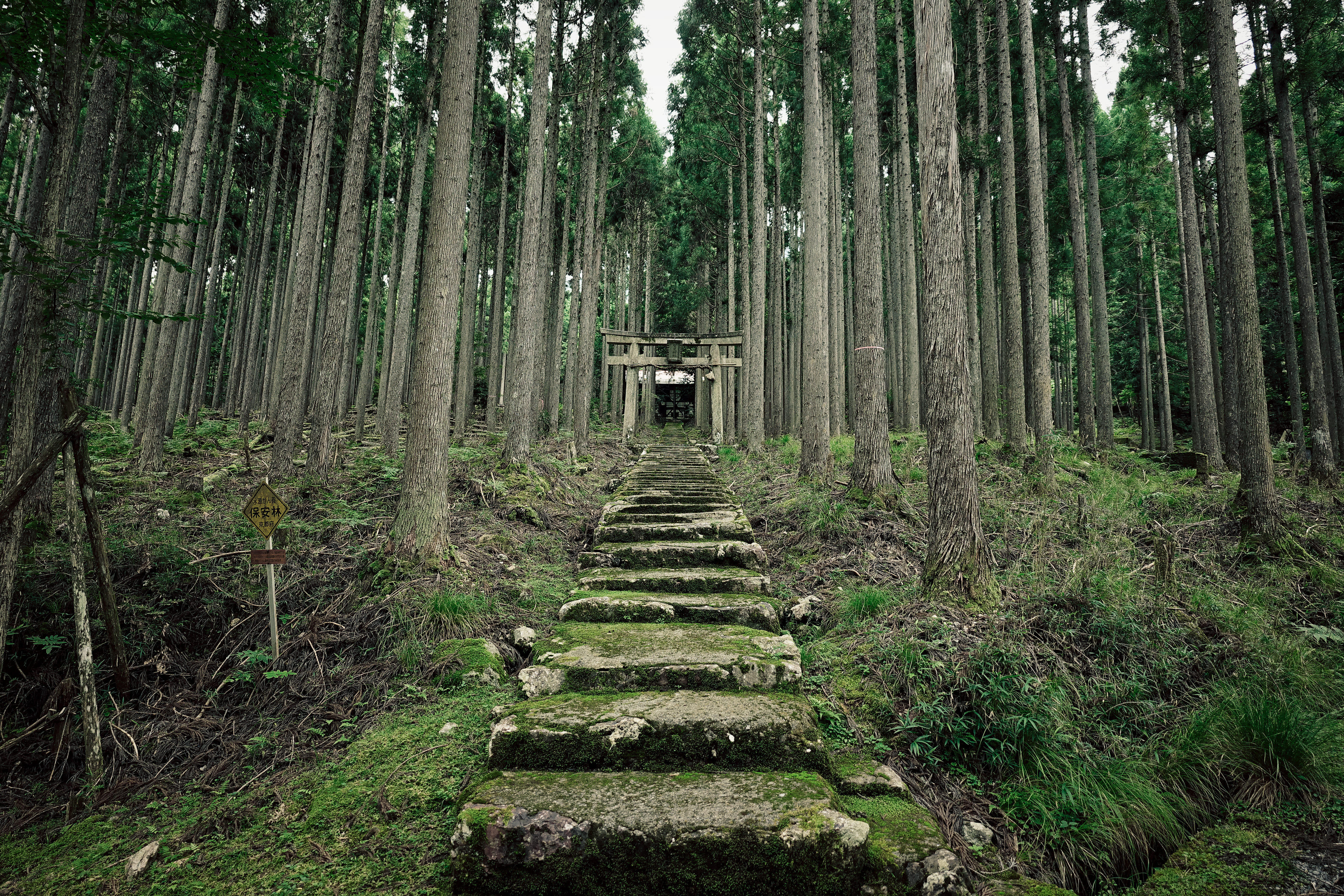 Kamo Shrine