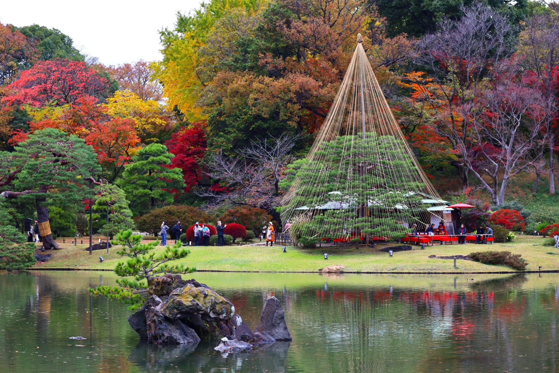 Rikugien Gardens – Things to Know: Best Times, Access & Prices | LensTokyo