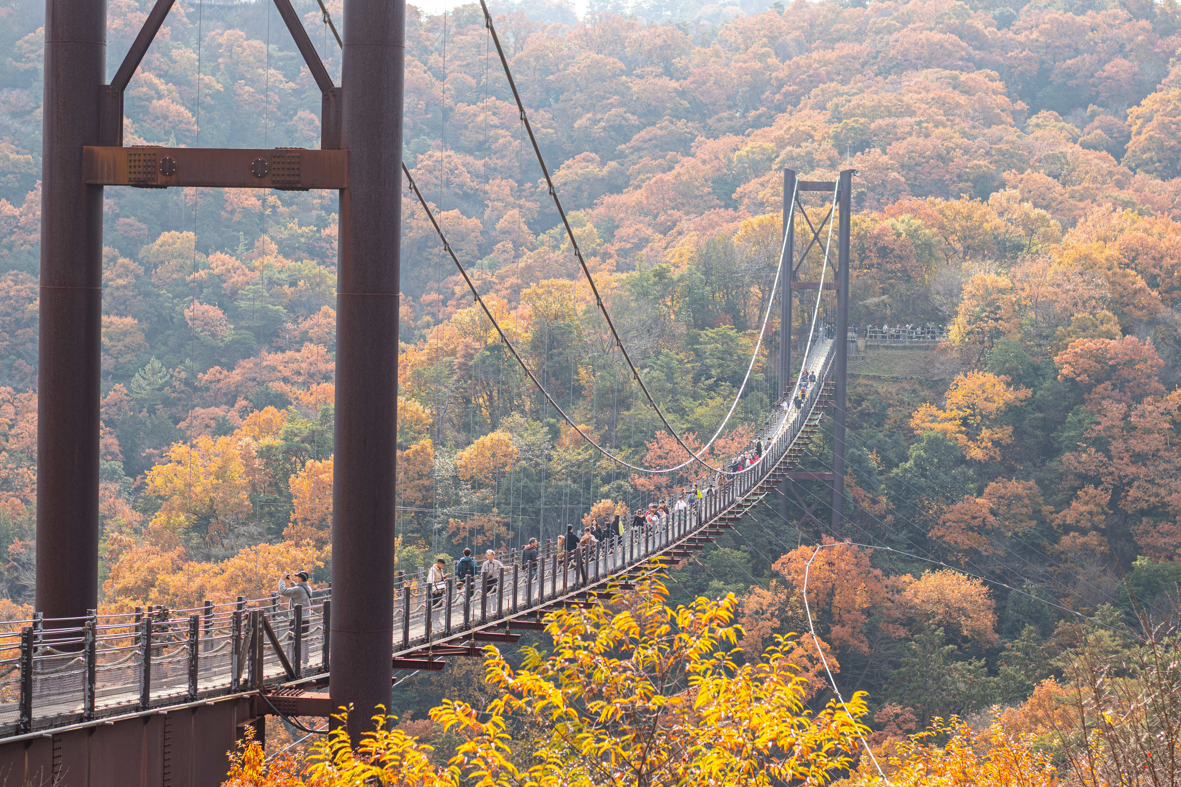 Hoshi no Buranko Bridge