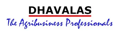 Dhavalas