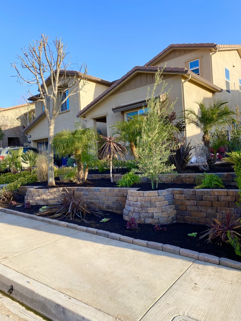 Tiered block retaining wall planted with palms and flax in a front yard