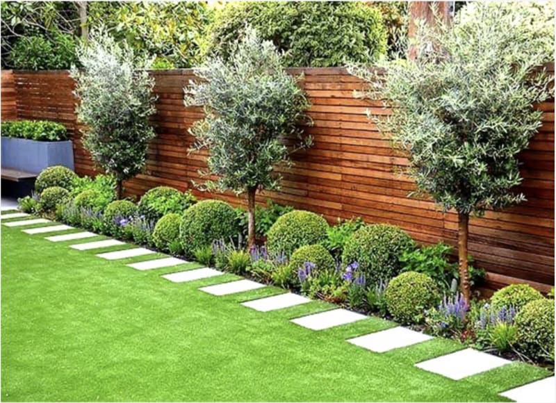Artificial turf with stepping pavers, olive trees and a redwood fence