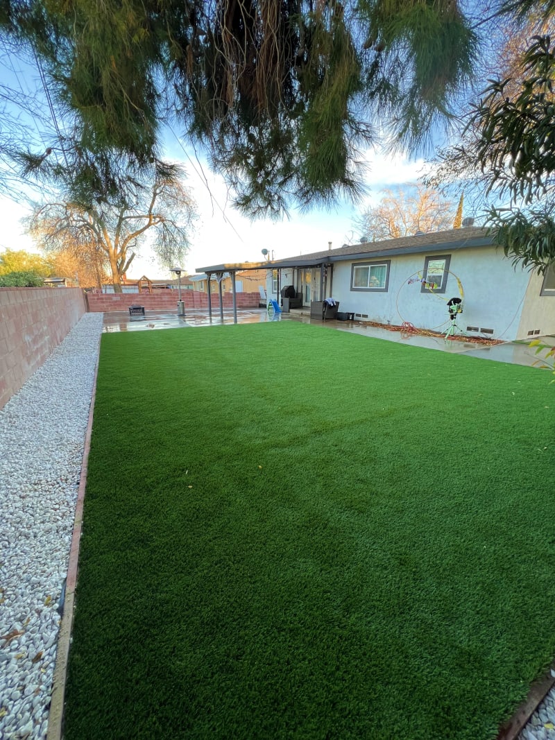 Concrete Backyard, after