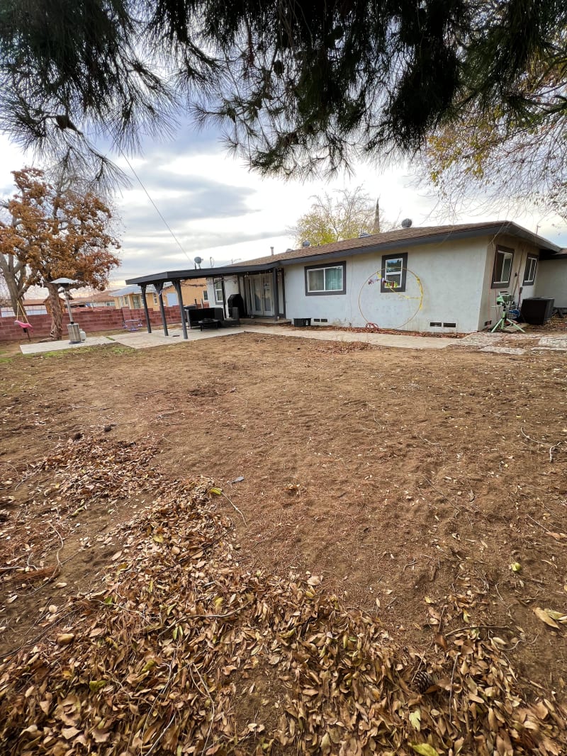 Concrete Backyard, before
