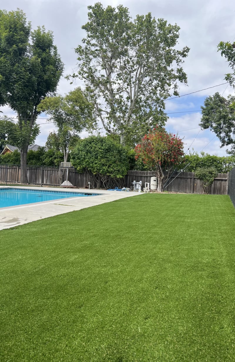 Artificial turf lawn surrounding a backyard pool