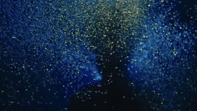 BORN HERE | A kitesurf movie starring Mathys Rumelioglu