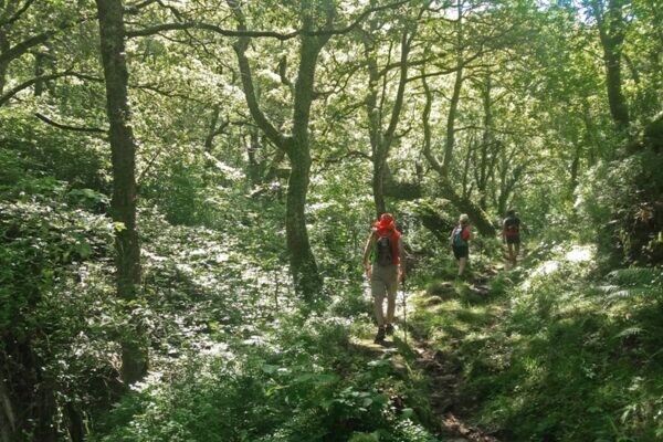 Rutas Naturea noviembre