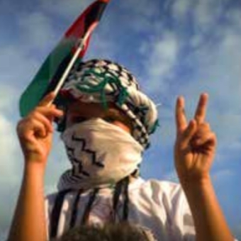 'La raíz del olivo'