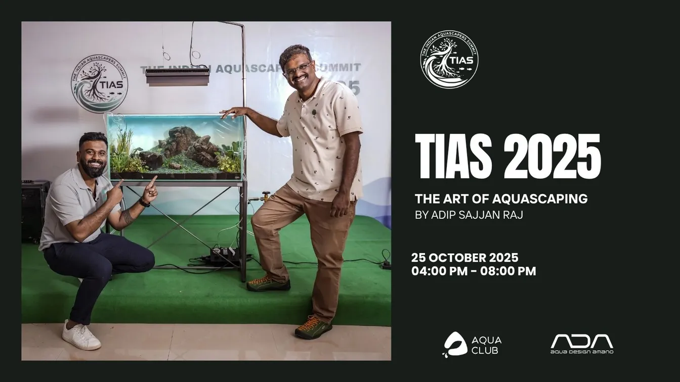 The Art of Aquascaping by Adip Sajjan Raj