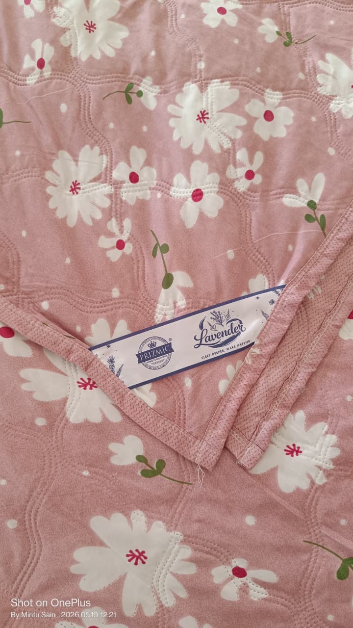 Blush Daisy