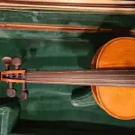 Violon Professionnel 4/4 Stradivarius – Cordes Thomastik Dominant - image 3