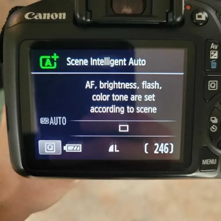 Canon EOS 1300D DSLR Camera with Lens - image 3