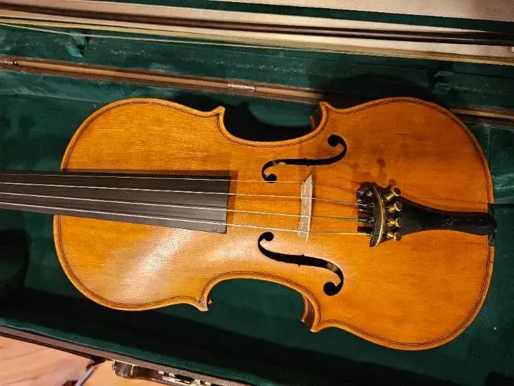 Violon Professionnel 4/4 Stradivarius – Cordes Thomastik Dominant - image 1