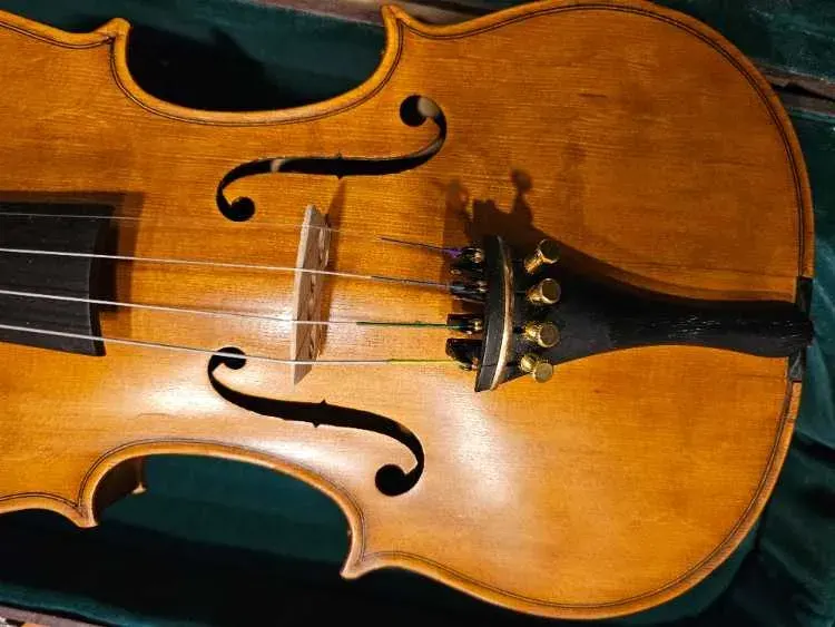 Violon Professionnel 4/4 Stradivarius – Cordes Thomastik Dominant - image 2