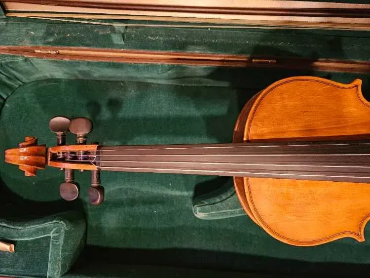 Violon Professionnel 4/4 Stradivarius – Cordes Thomastik Dominant - image 3