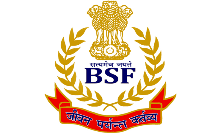 BSF logo