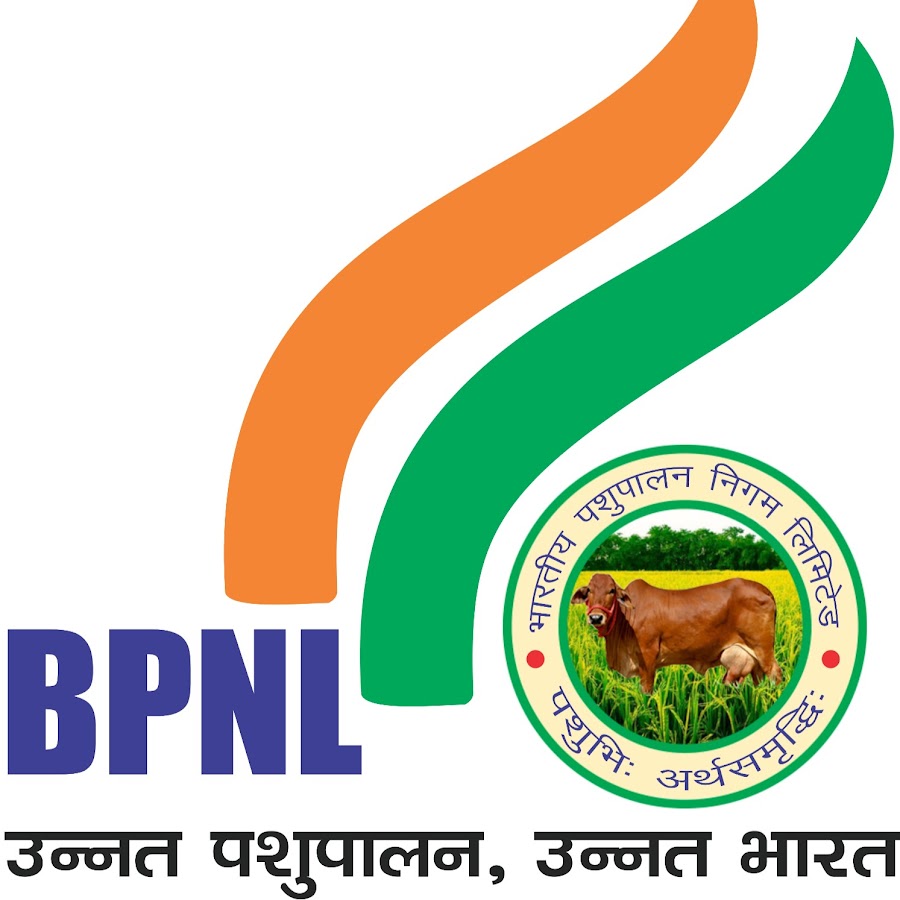 What is BPNL? Understanding Its Role and Functions