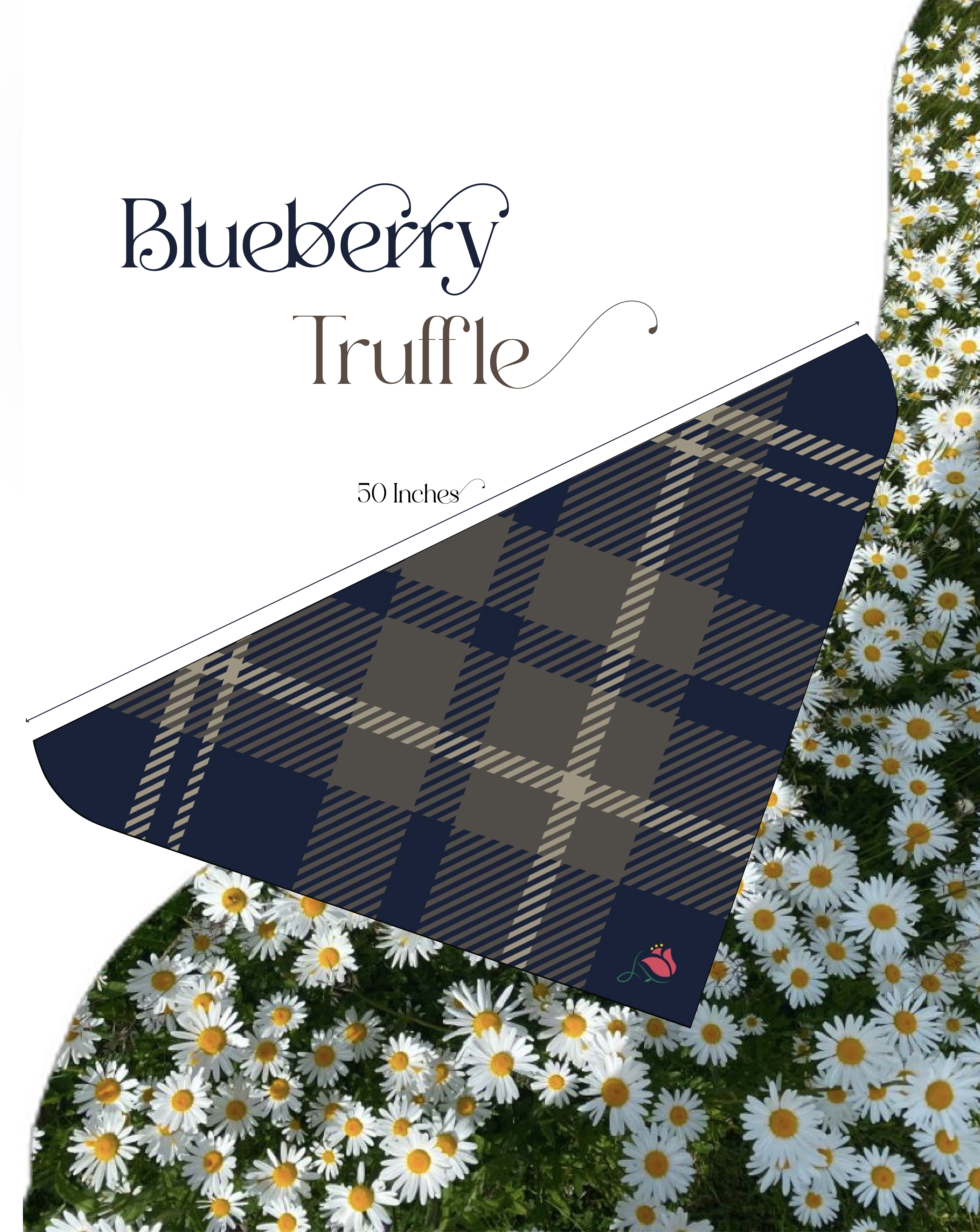 Blueberry Truffle thumbnail 4