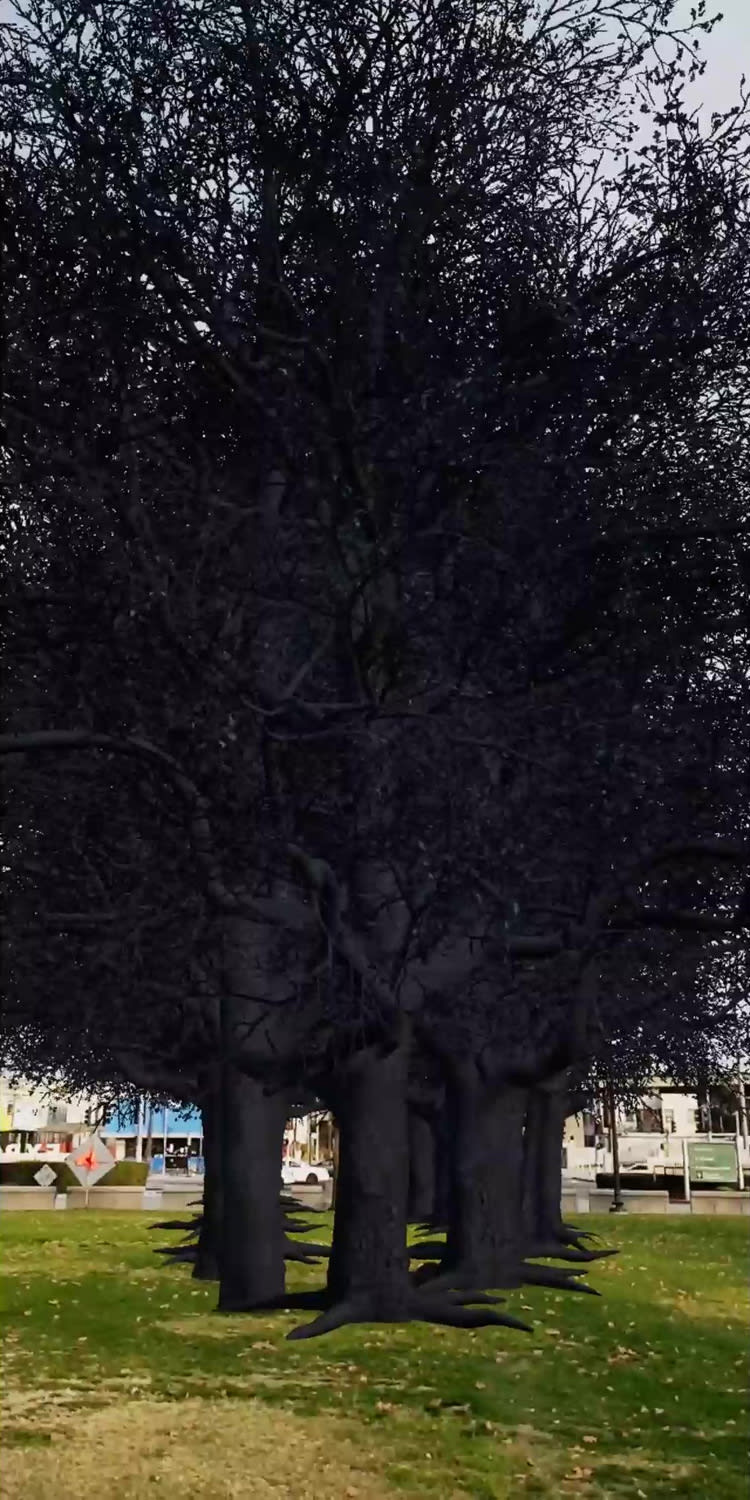 Hings Lim, Witness of Land, 2020-ongoing