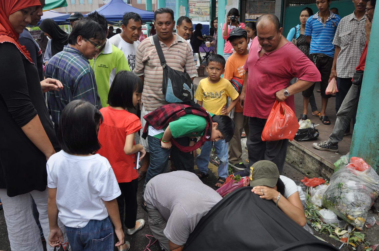 Hings Lim, Shelter 1.0, 2012