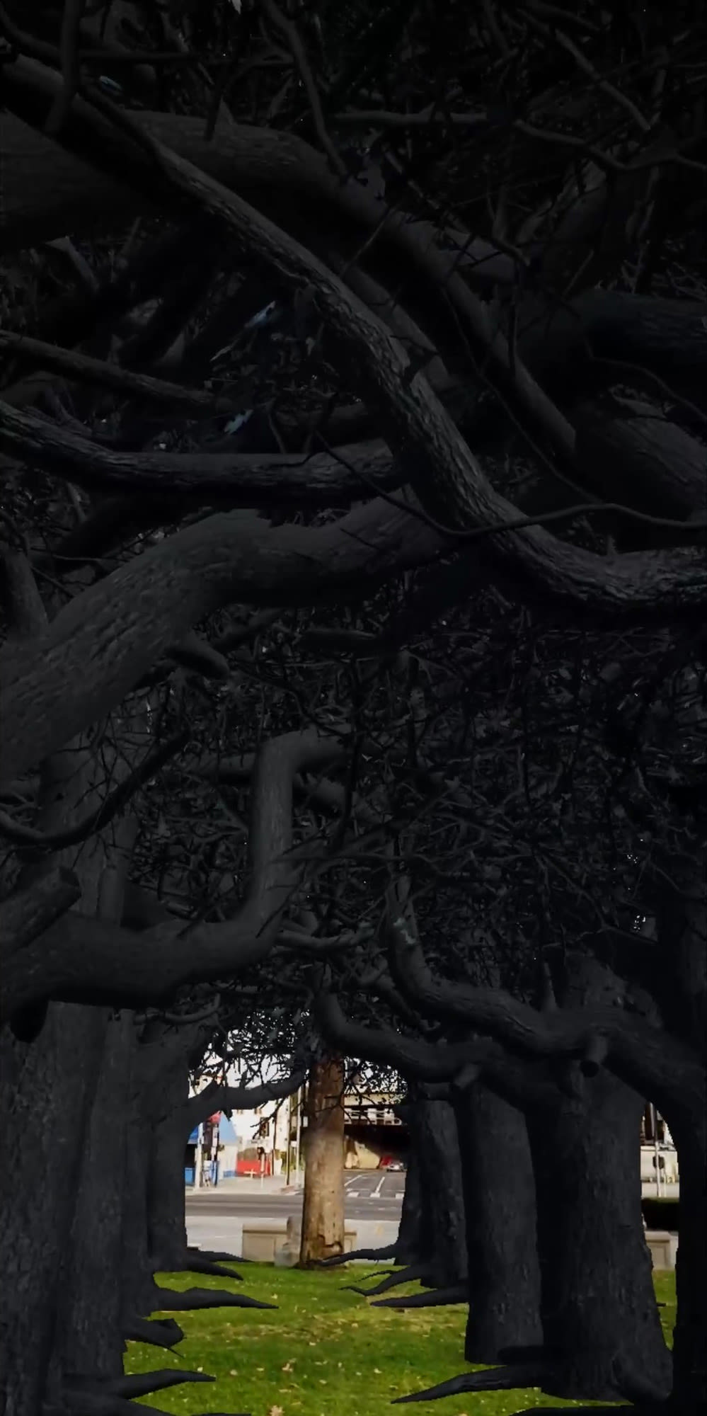 Hings Lim, Witness of Land, 2020-ongoing