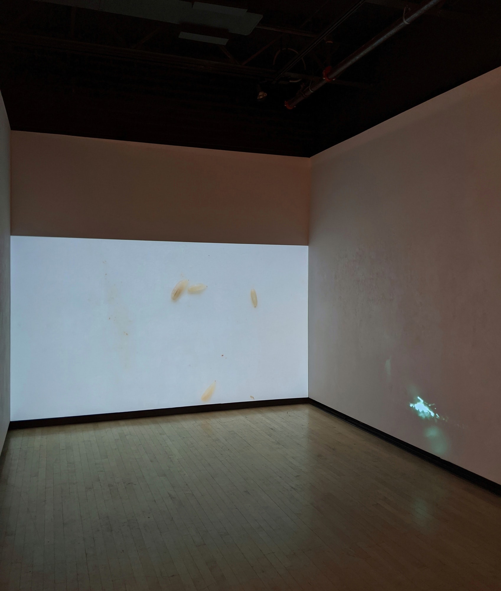 hings lim 2020, GLAMFA 2020: Double Play