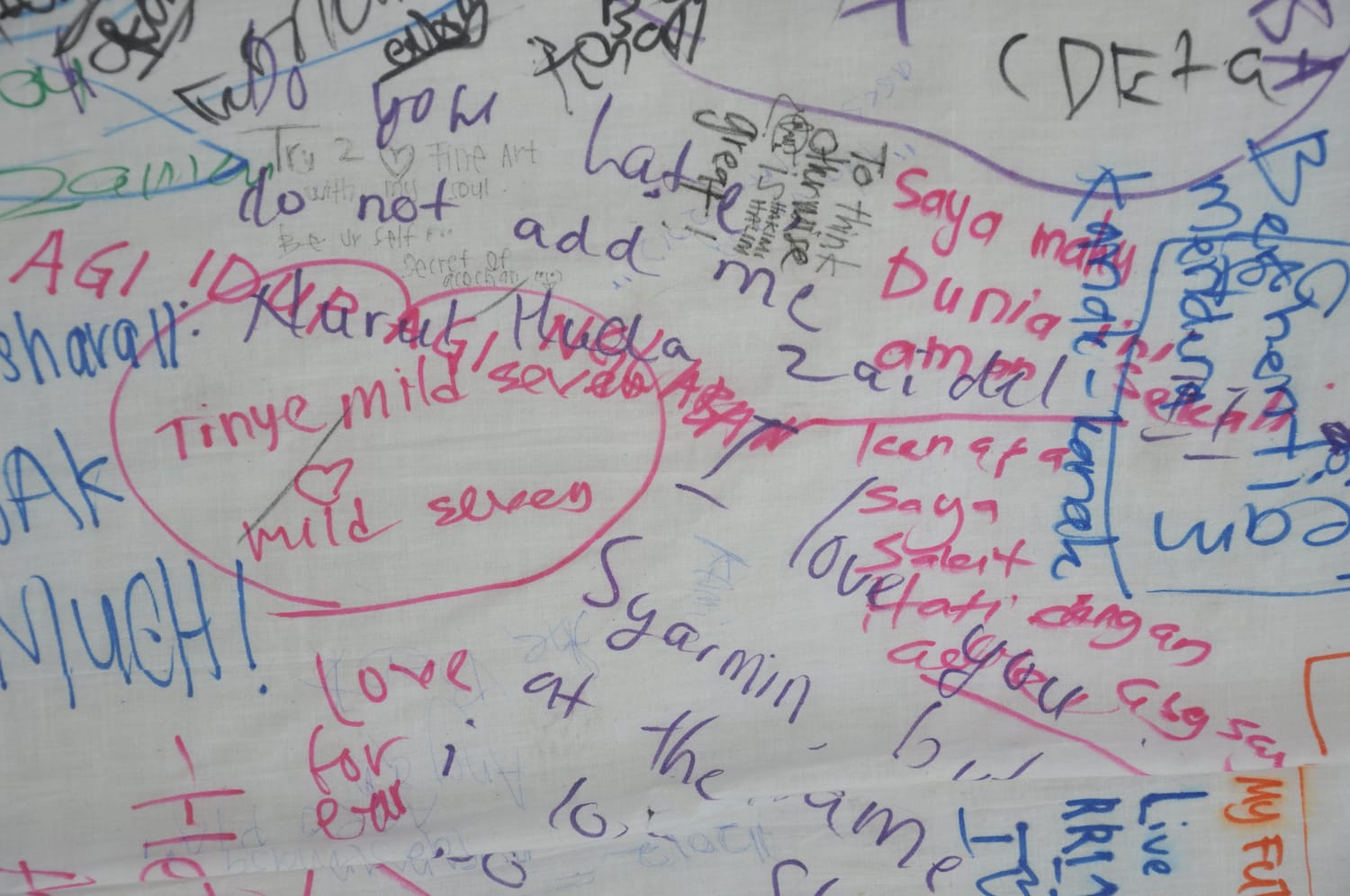 Hings Lim Shelter 1.0, 2012