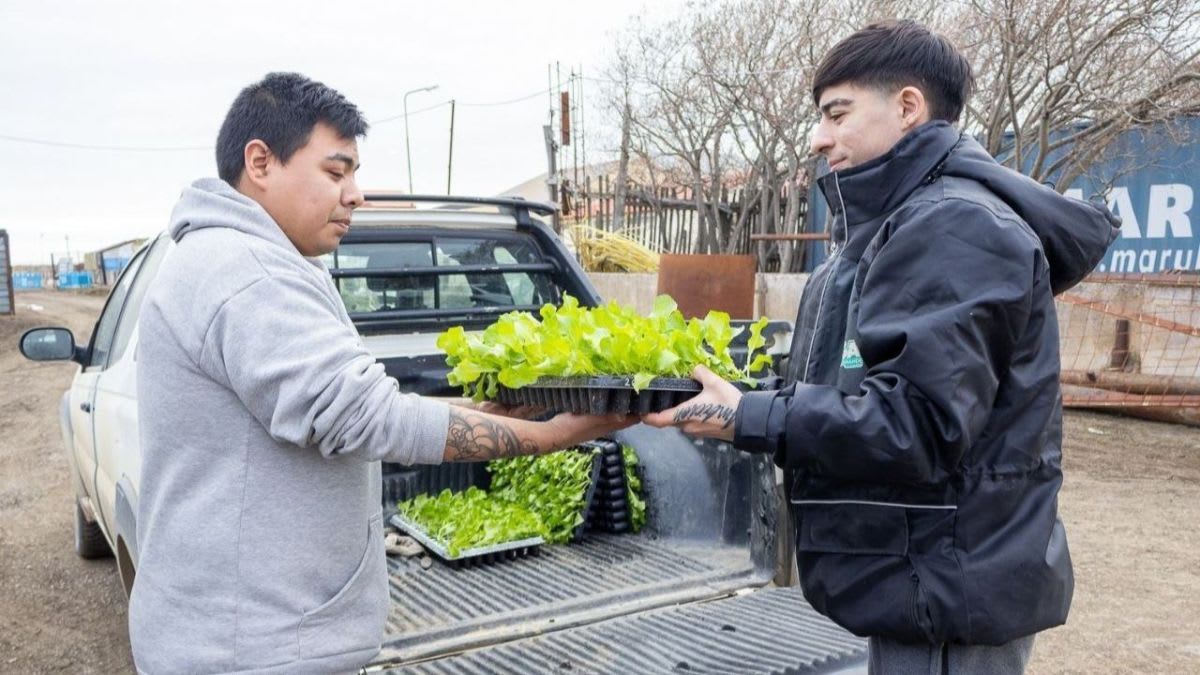 El Municipio abrió las inscripciones para la entrega de plantines